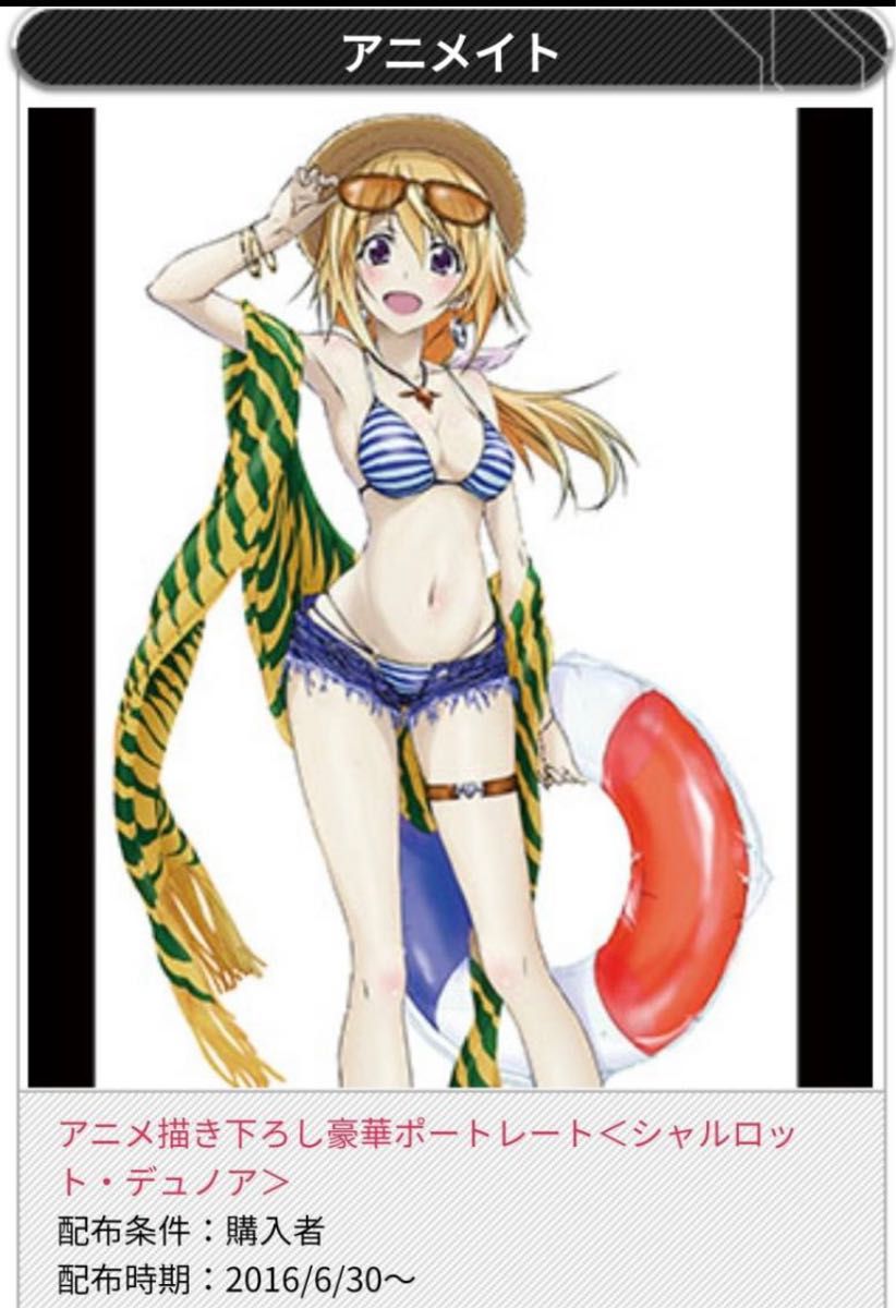 IS インフィニットストラトス2 Blu-ray BOX アニメイト特典 アニメ描き