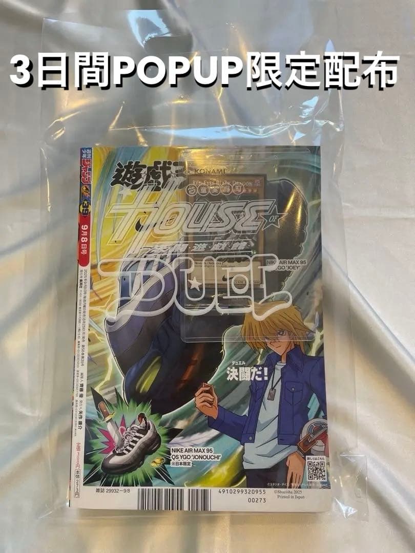 約3000枚限定！ 遊戯王 NIKE レッドアイズブラックドラゴン ナイキ