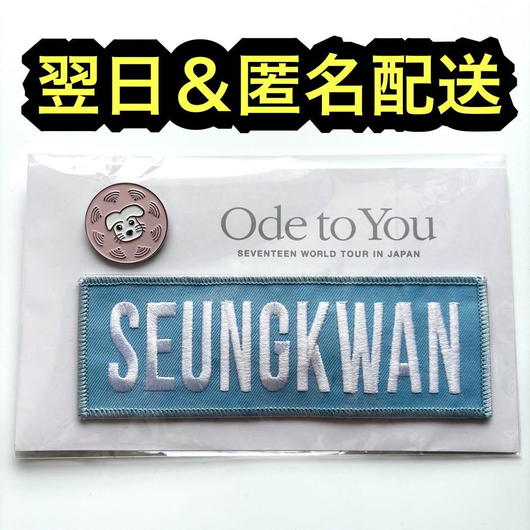 seventeen ワッペンバッジ ワッペン ピンズ ピンバッジ スングァン